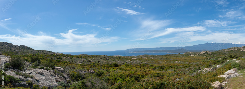Panoramic view of a typical Corsican landscape, rocky, maquis, and sea, France.
