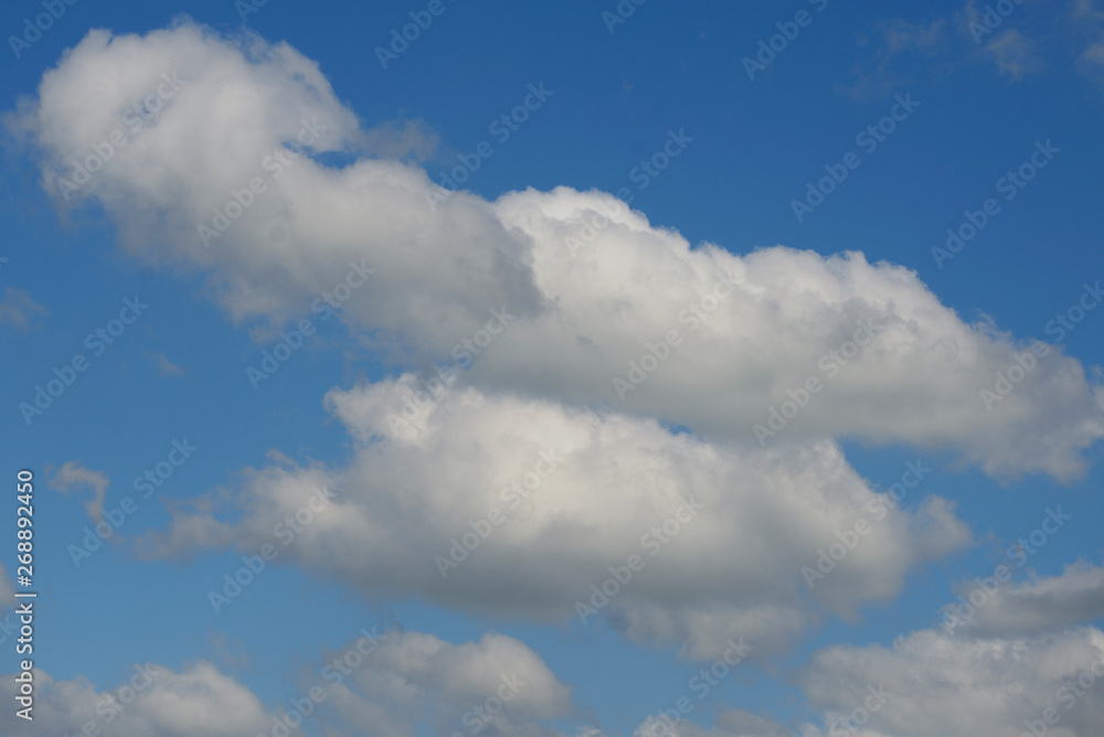 Cottony clouds, cumulus clouds, in a blue sky Cottony clouds, cumulus clouds, in a blue sky