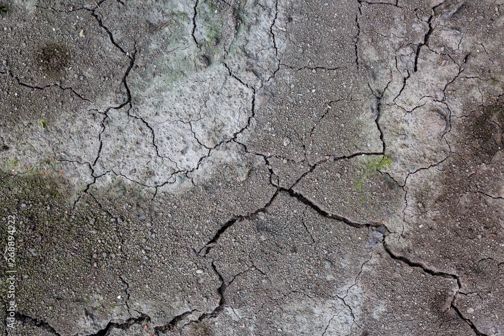 Obraz premium Cracked dry soil