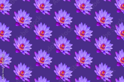 Purple lily pattern background
