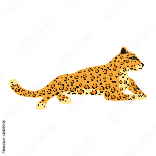 Fototapeta Naklejka Na Ścianę i Meble -  Leopard cute trend style, animal predator mammal, jungle