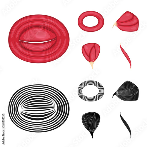 Isolated object of fiber and muscular logo. Set of fiber and body  stock symbol for web.