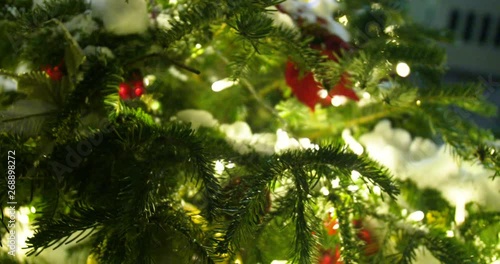 branch of a christmas tree with red berries