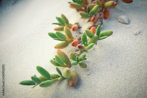 Ecuador Galapagos islands 