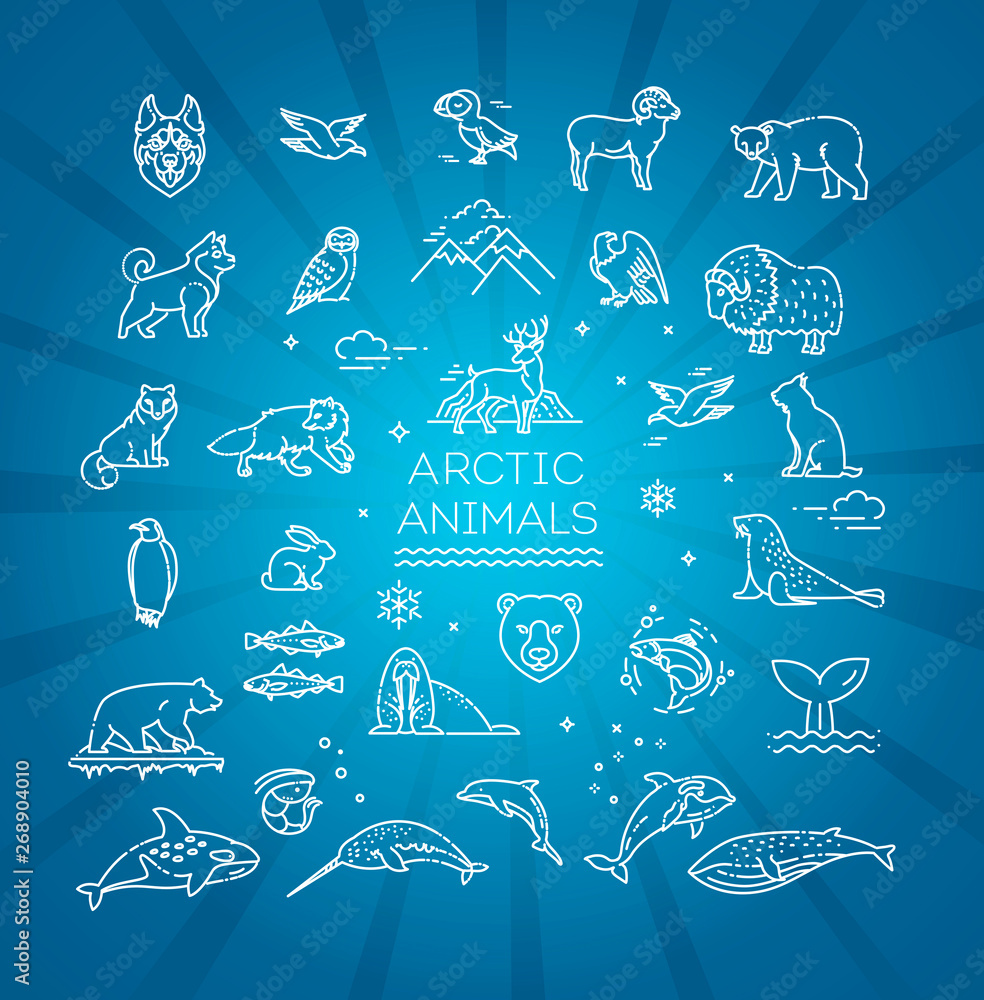 Line arctic wildlife concept with different north animals . Vector