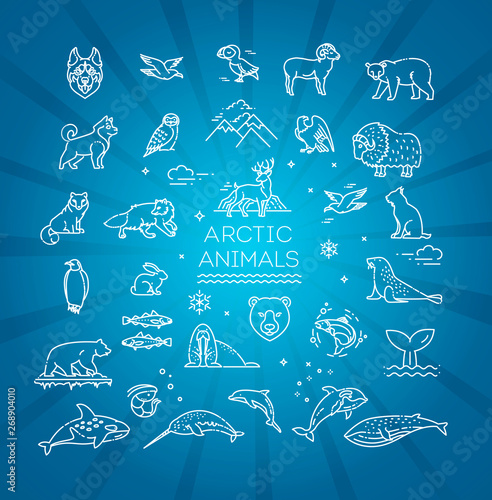 Line arctic wildlife concept with different north animals . Vector