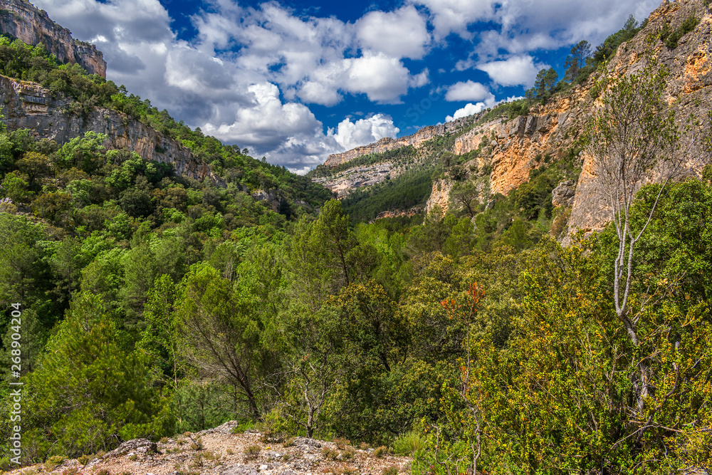 Landscape in the mountains. Hiker route in the 