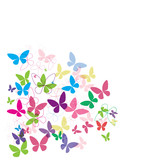 butterfly vector background isolated pink tiny many