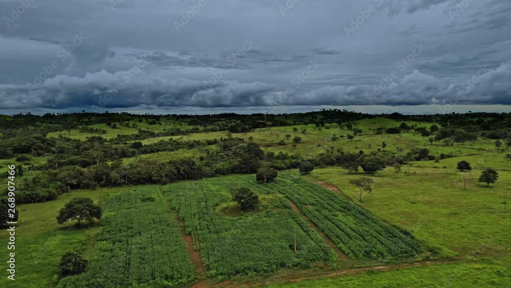 Dark moody aerial shot over green fields in the Brazil countryside on a stormy day. Forward Dolly shot Dark moody aerial shot over green fields in the Brazil countryside on a stormy day. Forward Dolly shot