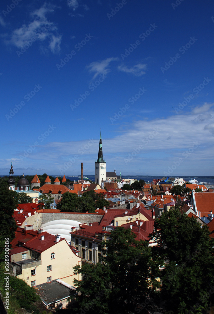 view to old town of tallinn in summertime