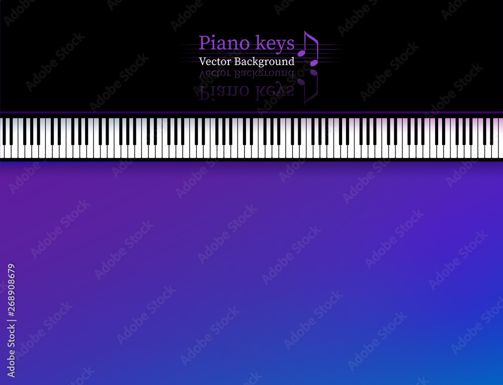 Vector illustration of top view Piano keys