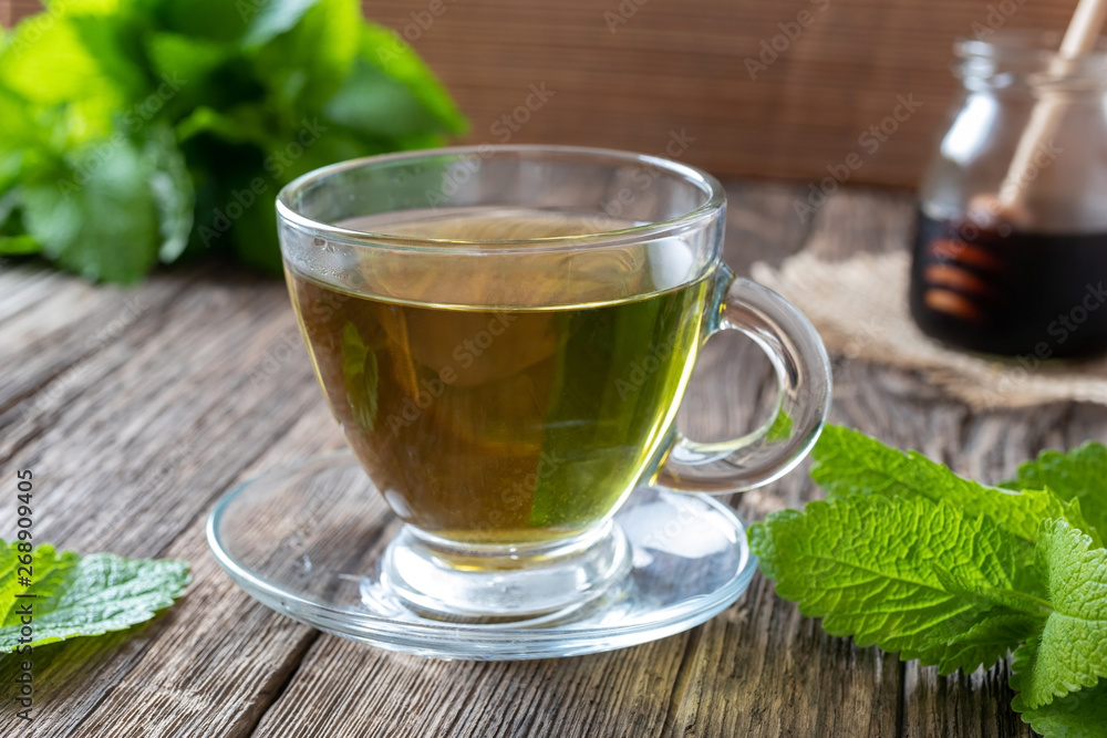 A cup of melissa tea with fresh melissa twigs A cup of melissa tea with fresh melissa twigs
