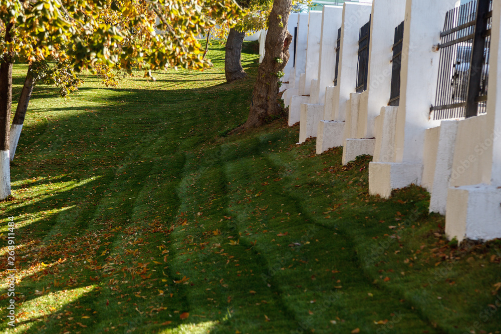 Autumn Background. Autumn garden with fallen leaves on the green grass, and a white fence on a Sunny day