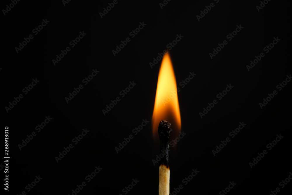 Lit match on black background, closeup. Space for text Lit match on black background, closeup. Space for text