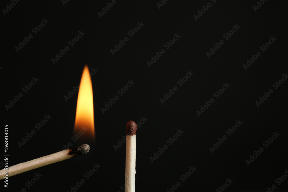Lit and whole matches on black background, closeup. Space for text Lit and whole matches on black background, closeup. Space for text