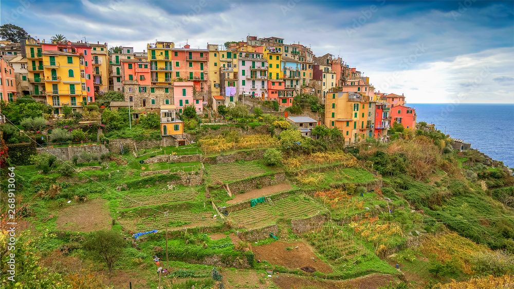 The Cinque Terre village of Corniglia sits on a terraced hillside used for vineyards in the province of La Spezia
