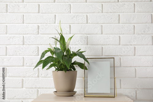 Spathiphyllum plant in pot and photo frame on table near brick wall, space for design. Home decor