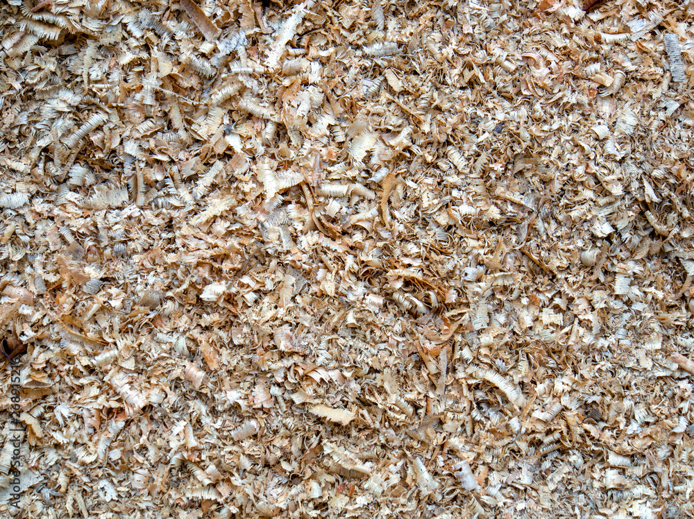 Macro photography of different textures of wood produced naturally by fungi marks, humidity, fire or by tools. Macro photography of different textures of wood produced naturally by fungi marks, humidity, fire or by tools.