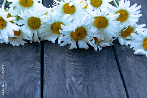 Fresh chamomile flowers on a wooden table.