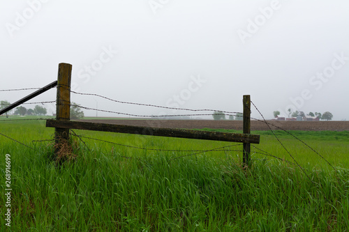 Fence in the rain