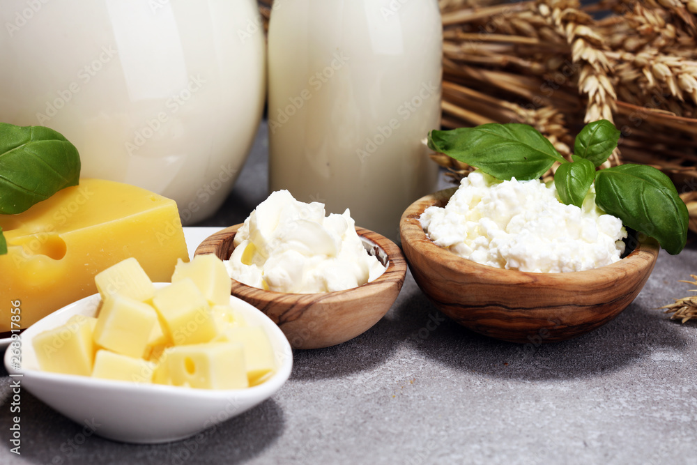milk products - tasty healthy dairy products and milk jar and cheese