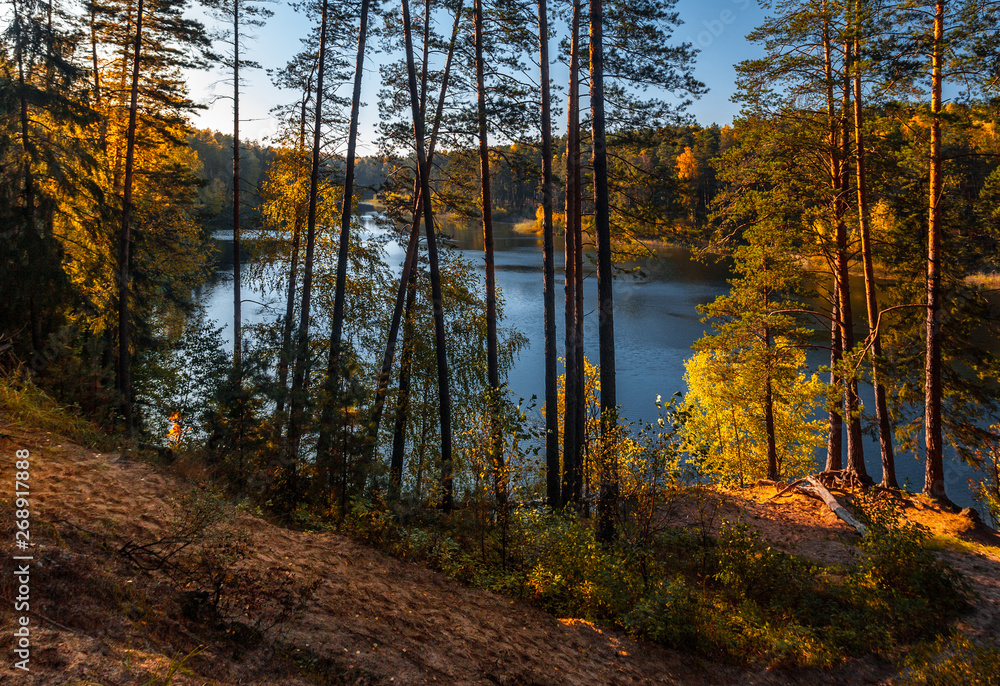 Fototapeta premium Silence on the forest lake surrounded with pines at sunset, Gluhoe, Russia, Mari El