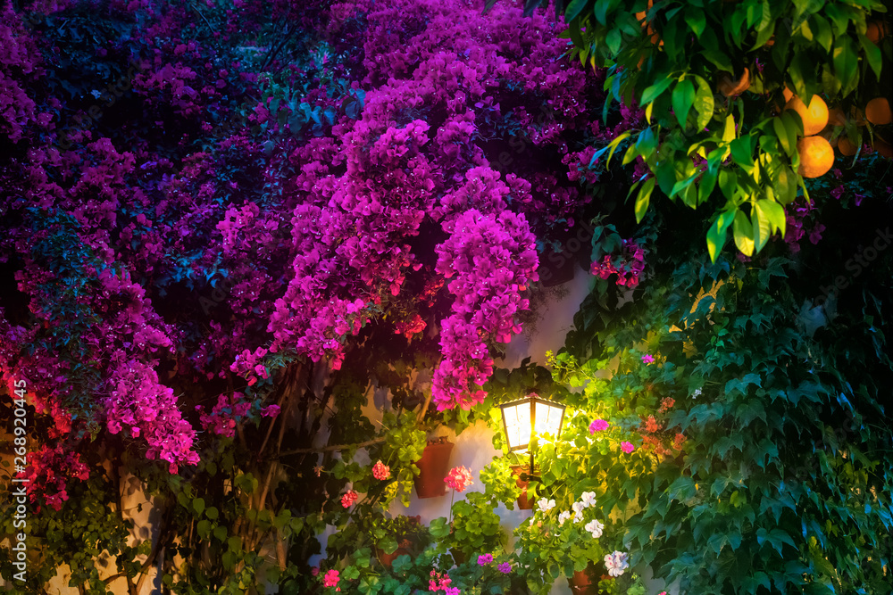 Fototapeta premium Wall lantern surrounded by colorful flowers.