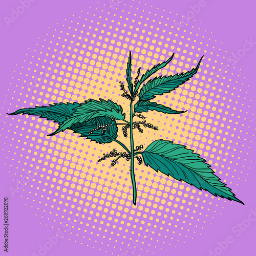 nettle, green burning plant