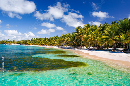 Dominican Republic  the Caribbean Sea  the sunny beaches of Saona Island