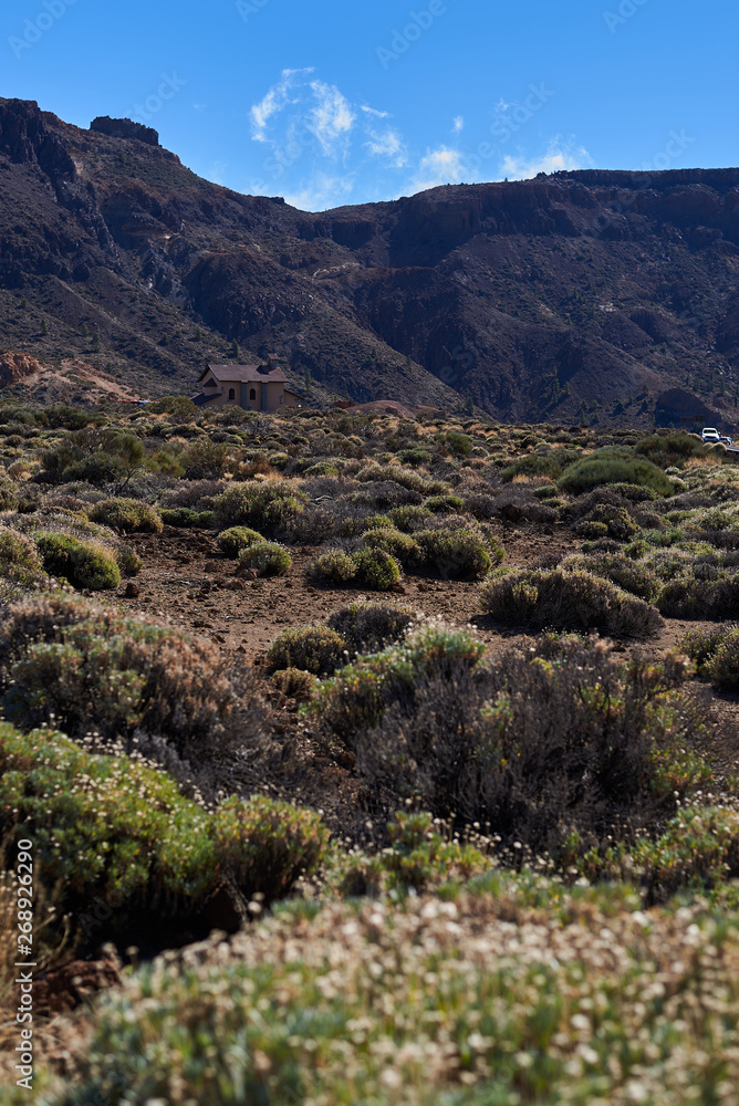desertic landscape in Teide mountain, Tenerife, Spain desertic landscape in Teide mountain, Tenerife, Spain