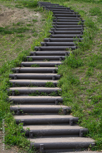 Fototapeta Naklejka Na Ścianę i Meble -  A stairway in the lawn