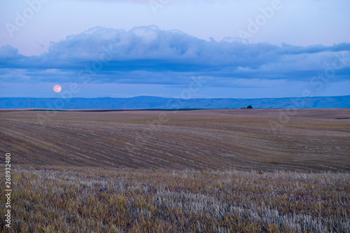 Moon Rise over Old Wheat