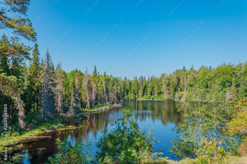 Obraz premium The quiet inner lake of the island of Valaam. The unique nature of Karelia.