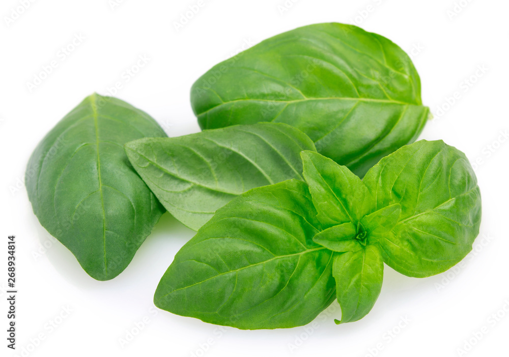 Fresh basil on white background Fresh basil on white background