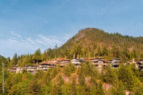 group of country houses and cottages on the mountainside among the dense forest
