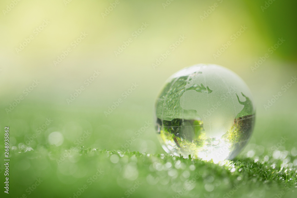Close up of crystal globe resting on grass in a forest - environment concept - obrazy, fototapety, plakaty 