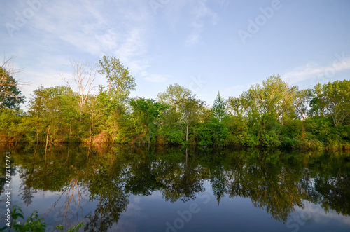 Fototapeta Naklejka Na Ścianę i Meble -  trees along a michigan river