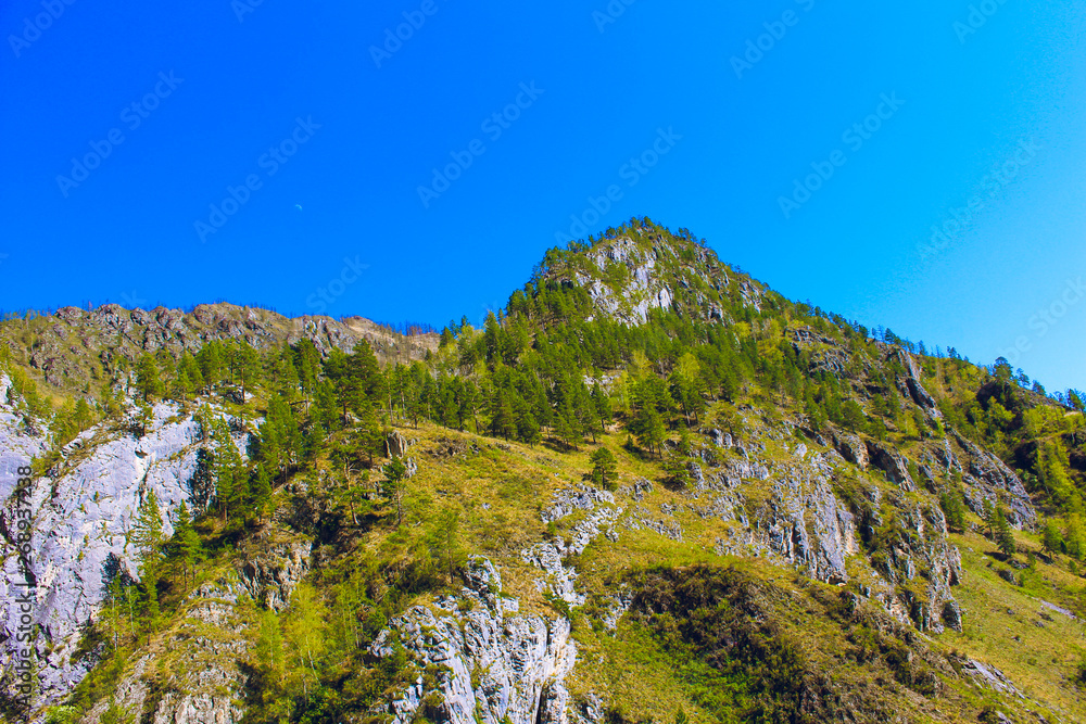Beautiful nature scenery, hiking activity. Majestic Mountain forest in clouds landscape. Green mountain range view. Astonishing panoramic view of mountain peak.Mountains with green forest landscape. Beautiful nature scenery, hiking activity. Majestic Mountain forest in clouds landscape. Green mountain range view. Astonishing panoramic view of mountain peak.Mountains with green forest landscape.