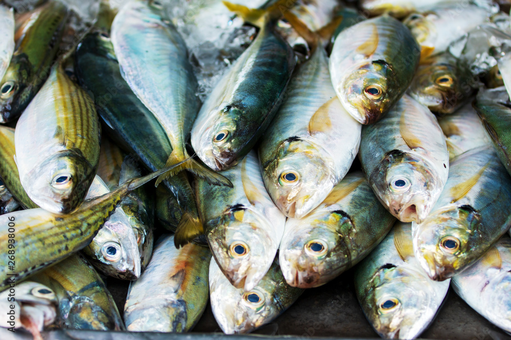Obraz premium Fresh Mackerel Fish Seafood Market Traditional
