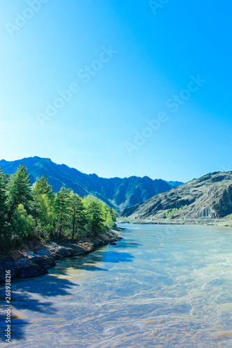 Misty River Through a Forest. Stream in the wood. Beautiful natural scenery of river in the forest. Mountain valley. Peaceful summer nature background. Mountain river water landscape. Altai mountain