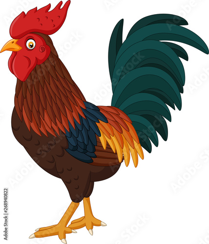 Canvas-taulu Cartoon rooster isolated on white background