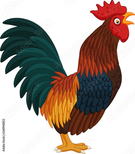 Cartoon rooster crowing on white background