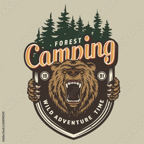 Colorful forest camping label