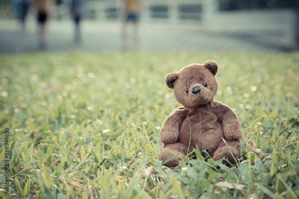 Brown bear doll sitting alone on the lawn Brown bear doll sitting alone on the lawn