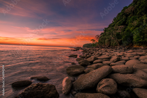 Natural close-up wallpaper ...