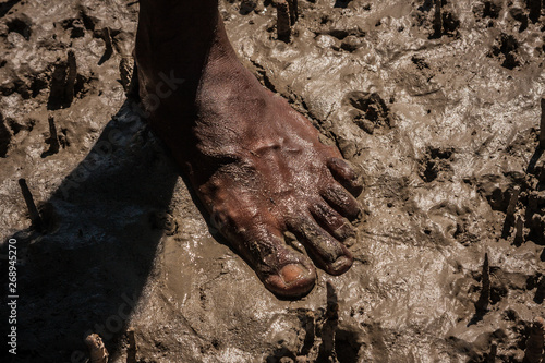 Aboriginal crab hunting