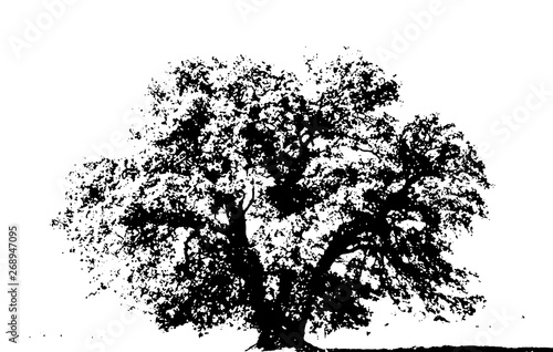 tree black silhouette