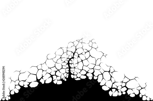 Earth cracks or plant roots on white background. Hole in the cracked concrete wall. Texture design in grunge with stone polygon style.