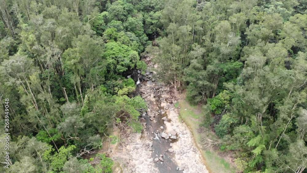 Aerial view of forest and steam Aerial view of forest and steam
