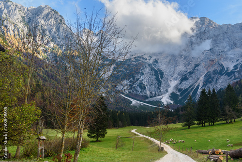 View of Mount Skuta from valley Zgornje Jezersko in northern Slovenia photo